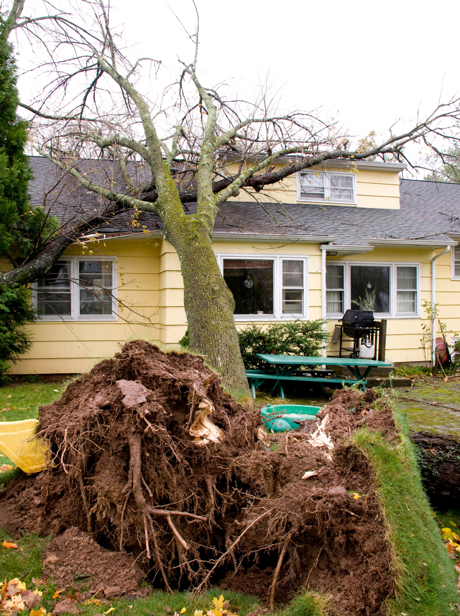 Storm Damage Cleanup